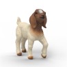 FIGURA CABRITO BOER