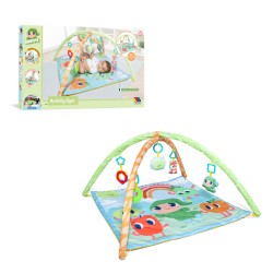 GIMNASIO ACTIVITY 3 IN 1