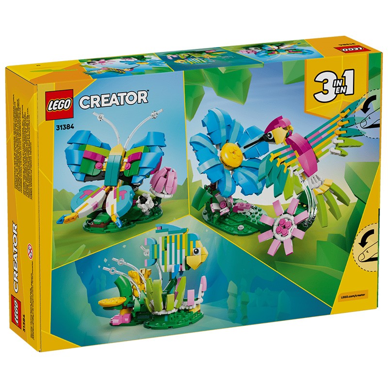 CREATOR FAUNA SALVAJE COLIBRI DE COLORES