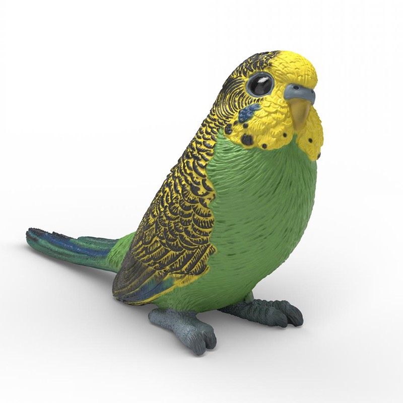 FIGURA PERIQUITO