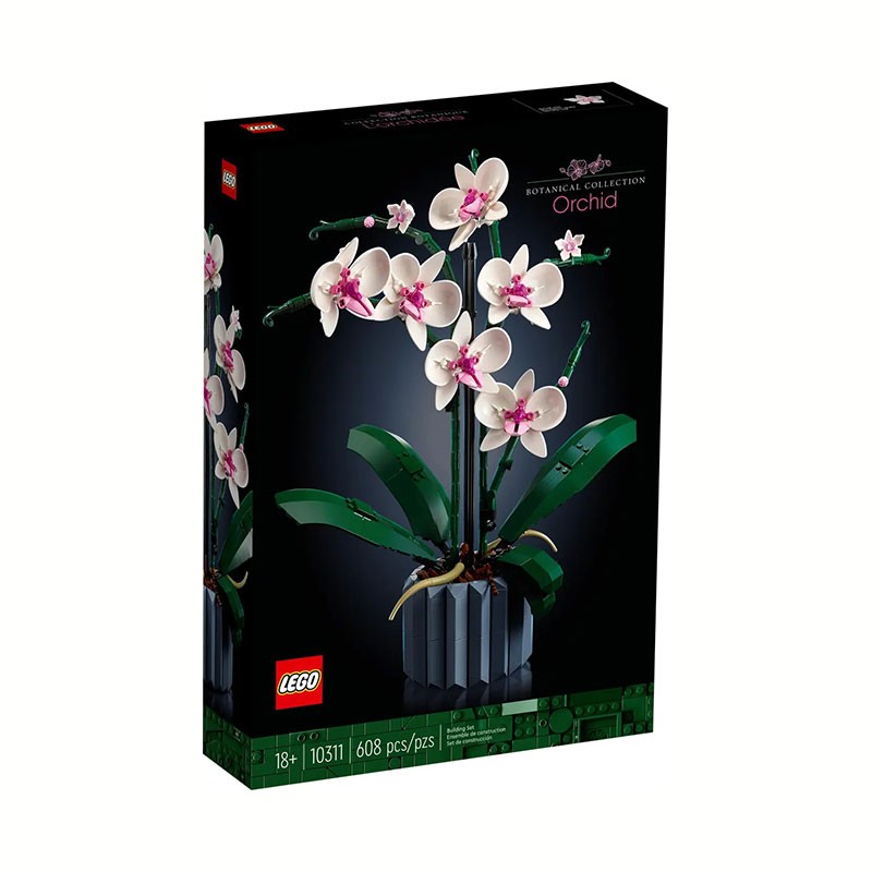 BOTANICALS ORQUIDEAS