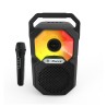KARAOKE CON MICRO INALAMBRICO