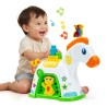 ACTIVITY PONY
