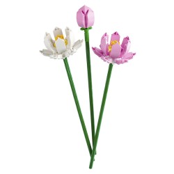 BOTANICALS FLORES DE LOTO